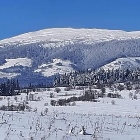 Orawski Kat Dağ evi Zubrzyca Dolna